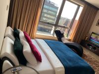 Dobry Wieczór we Wrocławiu - B&B Breslavia