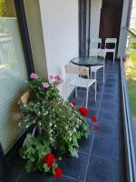 Apartamentai Muziejaus g. - B&B