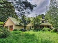Silver Birch Studio - B&B