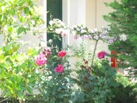 Liogerma Apartments - Bed and Breakfast