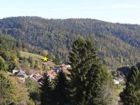 Apartments Amalia - mit WLAN und Sky in traumhafter Lage - Chambres d’hôtes Todtmoos