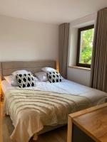 Estudio con cama extragrande y sofá cama