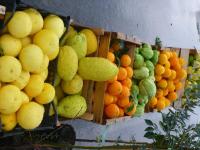 Apartment with Mountain View