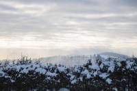 NaturTraum-Aktivurlaub mit Hund direkt an Wanderwegen und im Grünen - Chambres d'hôtes Winterberg