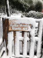 Apartments Seeblick Bariloche - B&B Bariloche