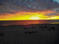 Rock's Beach Spot A - Chambres d'hôtes Costa de Caparica