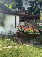 Apartament pod Brzozami - Chambres d’hôtes Pławna