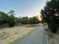 Miha modern and central apartament Malul Mureșului - B&B Arad