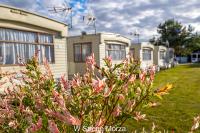 Domki w Jarosławcu - Ferienwohnung Jaroslawiec