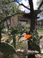 Pachamama cabañas en la montaña - B&B