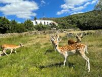 B&B Guarda - Quinta do Borges - Bed and Breakfast Guarda