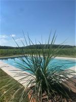 Podere Casanova & Wine Experience - Montepulciano - Bed and Breakfast Montepulciano