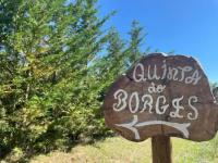Quinta do Borges - B&B