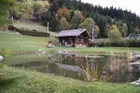 Le P'ti Tzi-Mé - B&B Villars-sur-Ollon