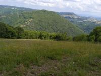 Gîte du guilhaumard et du larzac - Bed and Breakfast Cornus