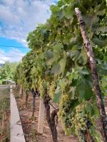 MARIA'S HOUSE - Ferienwohnung Stolac