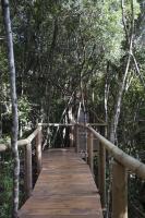 Trogon House and Forest Spa - B&B
