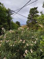 Holiday Home Paradizo - Ferienwohnung Veli Lošinj