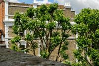PenthouseStays Notting Hill - Spacious 3 Bedroom King Bed Apartment - near Portobello Road & Kensington High Street - Chambres d'hôtes Londres