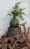 CASA TURÍSTICA Villa Carmen, CON CHIMENEA, AMPLIA ZONA DE JARDÍN, BARBACOA, PISCINA Y GARAJE - B&B
