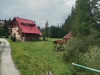 PENSIUNEA SIMONA ARIESENI - B&B