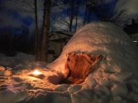 B&B Rovaniemi - Authentic Wooden House by the River with an Igloo - Bed and Breakfast Rovaniemi