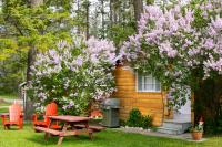 One-Bedroom Cottage - 6