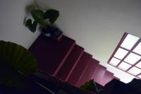 Apartments Nera - B&B