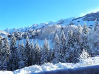 Appartement ski aux pieds, 2 chambres, terrasse et parking couvert - La Clusaz - FR-1-459-49 - Chambres d'hôtes La Clusaz