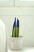 Casa Vacanze L'essenziale - B&B Martina Franca