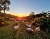 B&B Tallebudgera - The House of the Rising Sun - Bed and Breakfast Tallebudgera