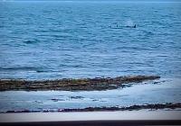 4 Sinclair bay lodges - B&B