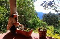 Cabaña con Bañera en Puesta de Sol