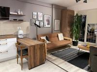 Shi Zi Junior Suite - Bed and Breakfast Iași