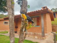 Villa Nova Chalés - Ferienwohnung Lima Duarte