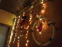 B&B Ferrare - La Bicicletta Rifiorita - Bed and Breakfast Ferrare