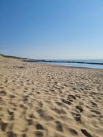 Chalet Cosy à 10min des plages- Soulac-sur-Mer - B&B