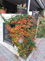 B&B Niš - Apartment Fenix - Bed and Breakfast Niš