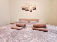 B&B Karlovy Vary - Apartmán v centru - Bed and Breakfast Karlovy Vary