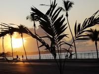 Apartamento Praia em Salvador Terreo - B&B Salvador