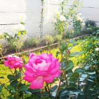 Apartmán HRONOV - Na Padolí - Ferienwohnung Hronov