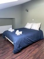 La Liberté, Loft 90 m2 rénové centre-ville, terrasse amenagee, jeux & parking - Ferienwohnung