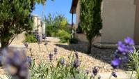 Mediterana Studio next to Baile Felix - B&B