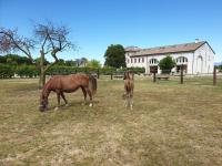 Ranch borgo bella vita - Bed and Breakfast