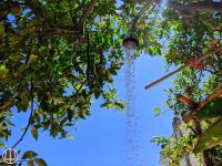 Casa Nettuno - B&B Vietri sul Mare