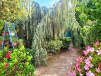 Cottage 43 m2 2 épis - Plage à 400m - PARKING Jardin TERRASSE Wifi - Ferienwohnung Six-Fours-les-Plages