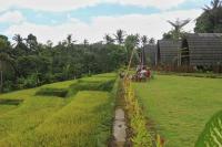 B&B Lijen - Omah Bapak Ijen Eco House - Bed and Breakfast Lijen