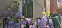 CASADEI24 - B&B