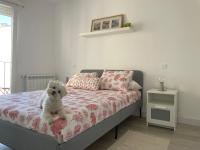 Plata 2 - B&B