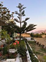 Borgo Majoca - Μονοκατοικία σε κυκλαδίτικο νησί - B&B Mési